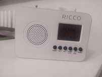 Radiobudzik bialy