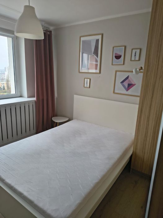 Mieszkanie dwupokojowe Orła Białego/Rataje