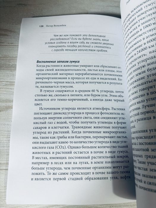"Тайные знаки природы" Петер Вольлебен