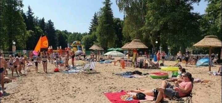 Parasol parasole z trzciny strzecha,ogród,dom,altanka