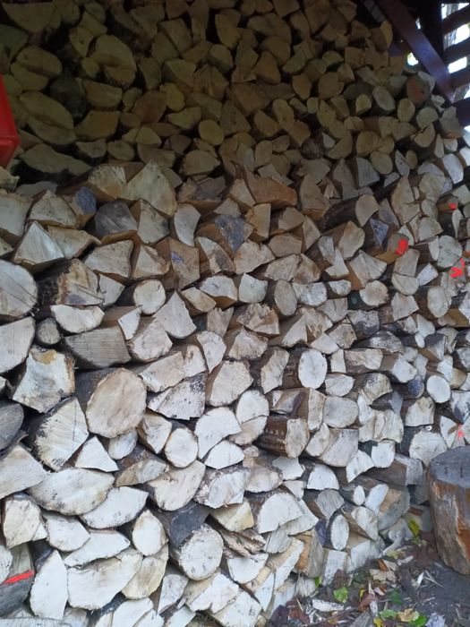 Drewno opałowe kominkowe