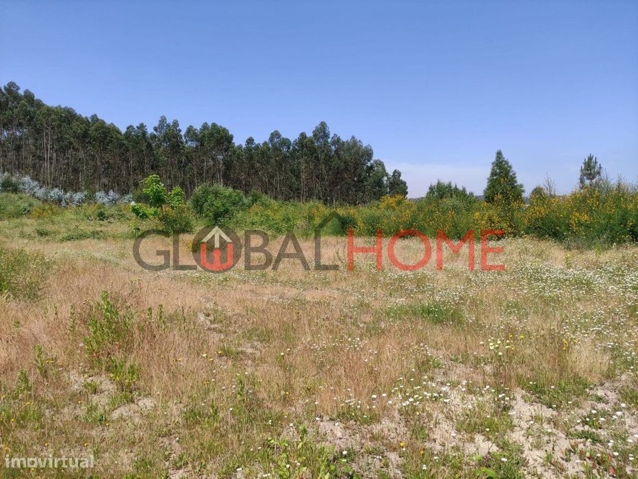 Terreno Vilela - Paredes