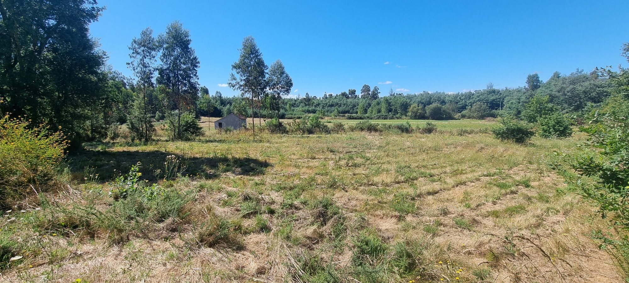 Terreno com 2510m²