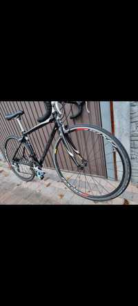 Rower Specialized Dolce