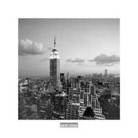 Posters Novos New York E. S.Building 50 cm x 50 cm