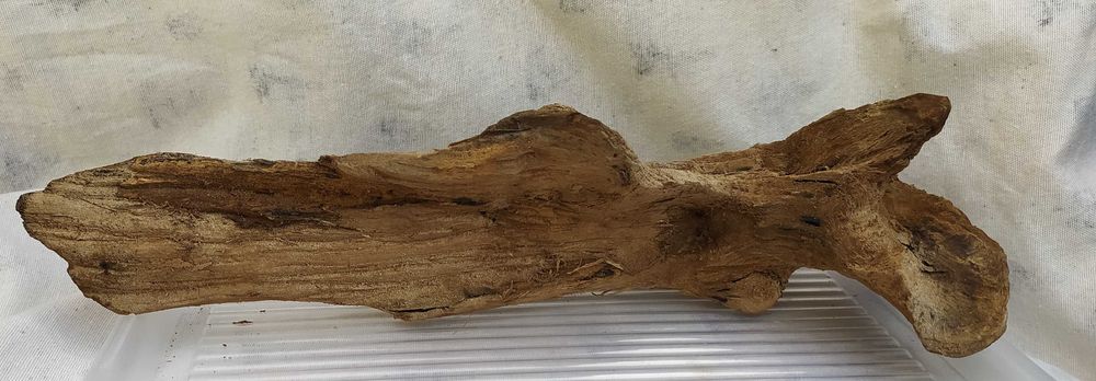 Drewienko do akwarium-32 cm