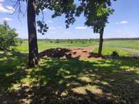 Бесплатно глина(самовывоз)