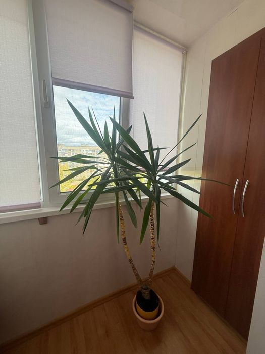 Сдам 3-комн.кв на Победе с мебелью и техникой