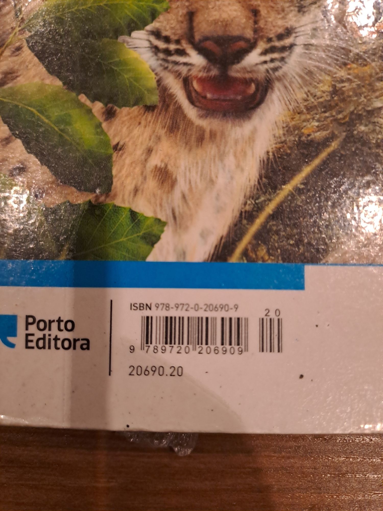 CADERNO/GUIA - CIENTIC 5 - 5.º Ano

ISBN / 9789897672859
Editora