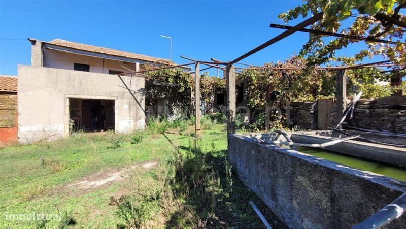 Quinta / Fundão, Enxames