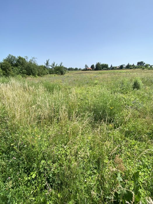 Koszenie boisk wysokich traw zarośli i nieużytków