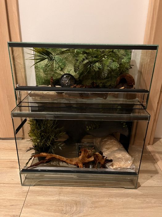 Terrarium.