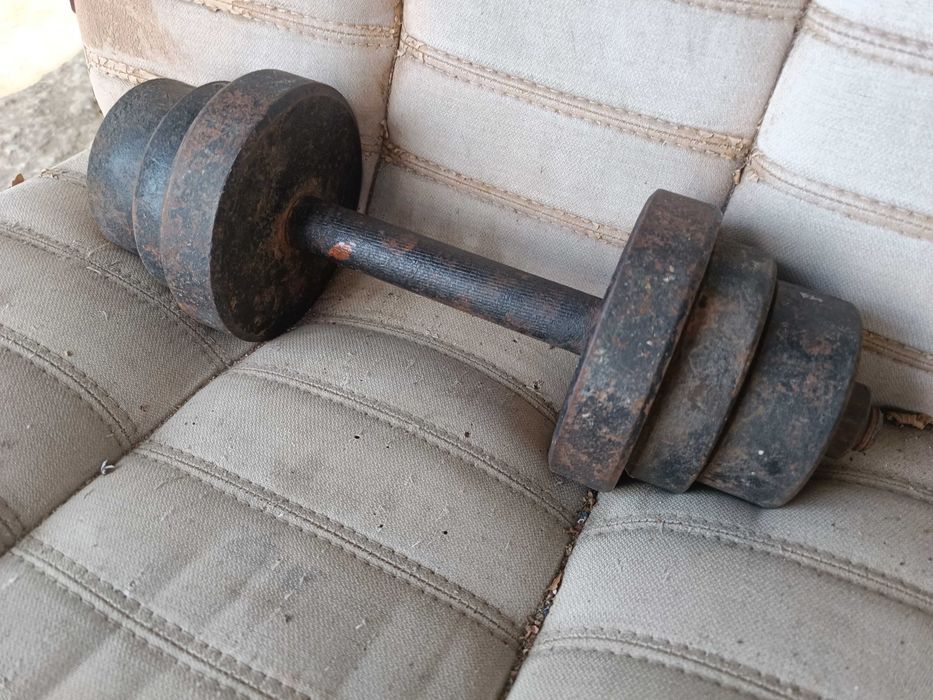 Гантели стальная 10 кг