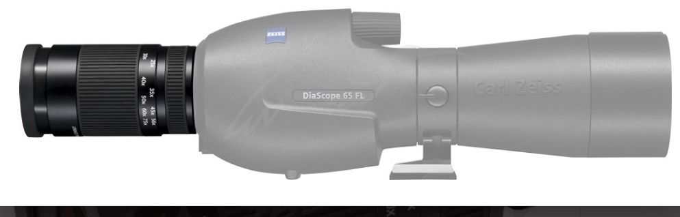 Подзорная труба Carl Zeiss Victory Diascope 65 T* FL + окуляр Zeiss