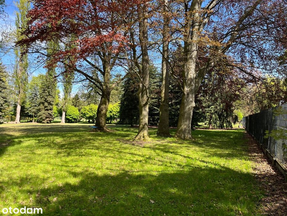 Piękny park ze stawem w otoczeniu sadów! Jest WZ pod dom jednorodzinny