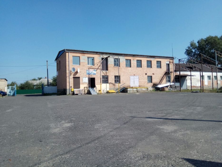 Здам в оренду базу в Котельві!