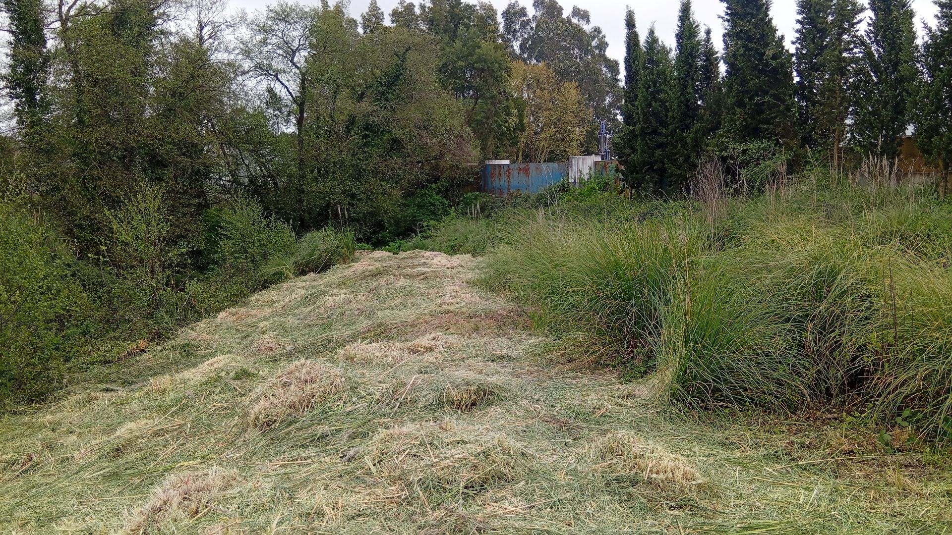 Limpeza de Terrenos Florestais · Abate de Árvores · Lenha · Jardinagem