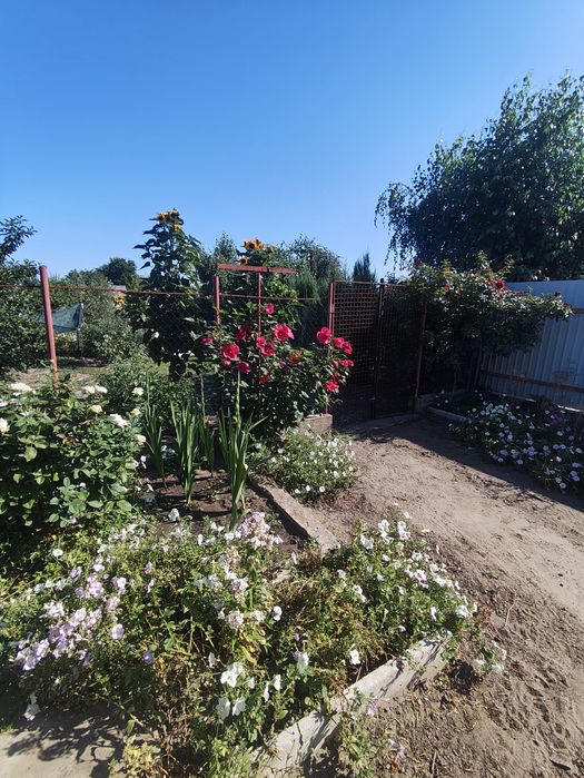 Продам дом в Разумовке