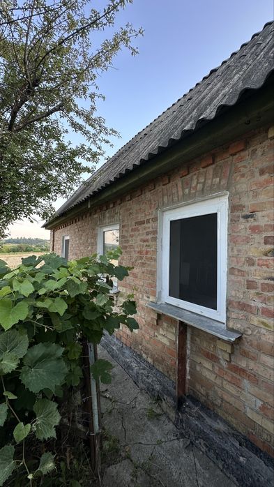 Продам будинок в селі Селище, Звенигородського р-у Черкаської обл