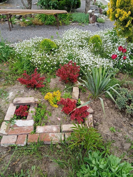 Сдам дом в Фонтанка 3