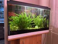 Akwarium 140l + stolik + wyposażenie + ryby - komplet