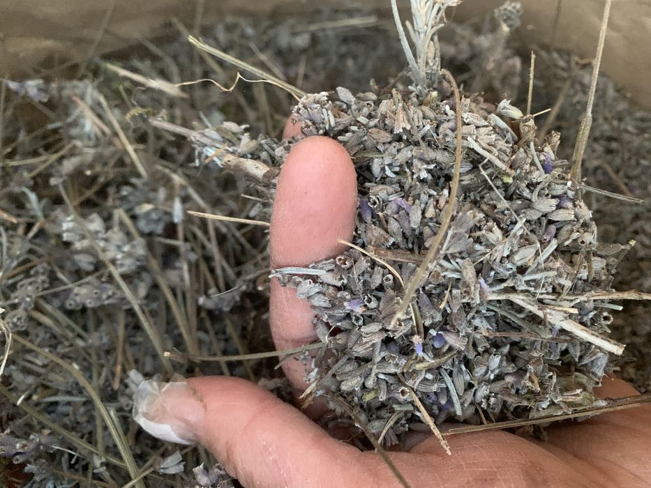 Susz lawendowy paliwo do odymiania pszczół 3KG