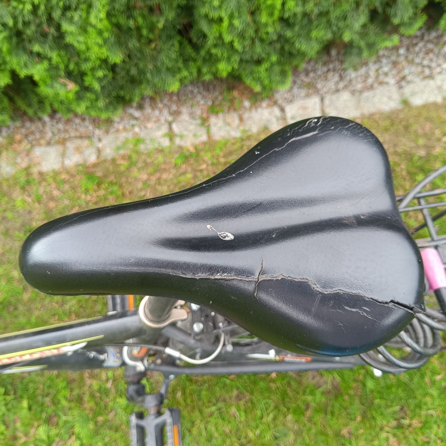 Rower Pegasus 26