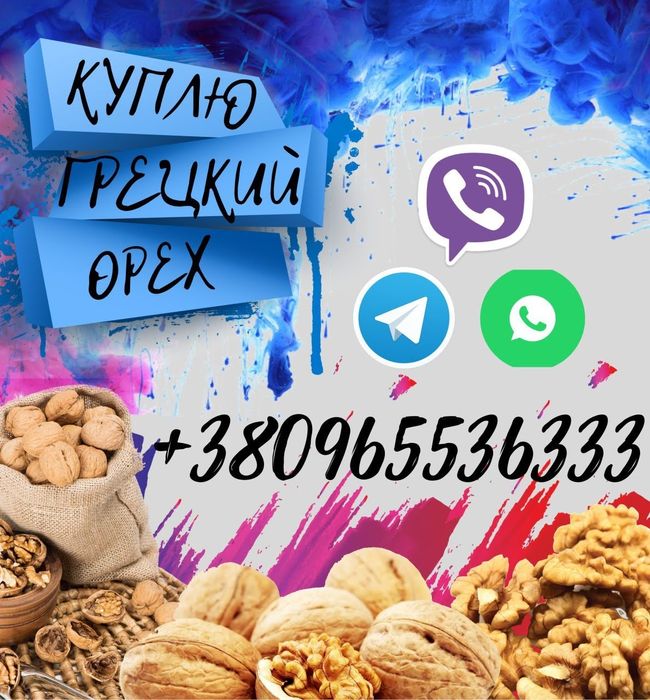 Грецкий орех 2025