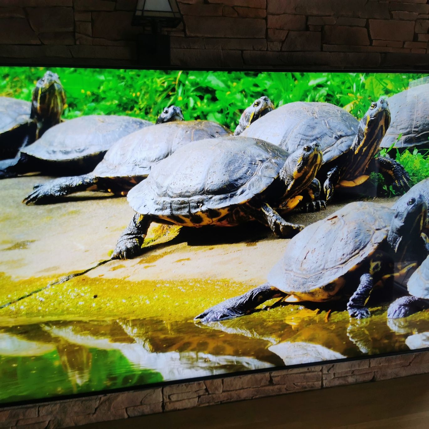 Telewizor SAMSUNG QE65QN800D 65" NEO QLED 8K Mini LED 120Hz