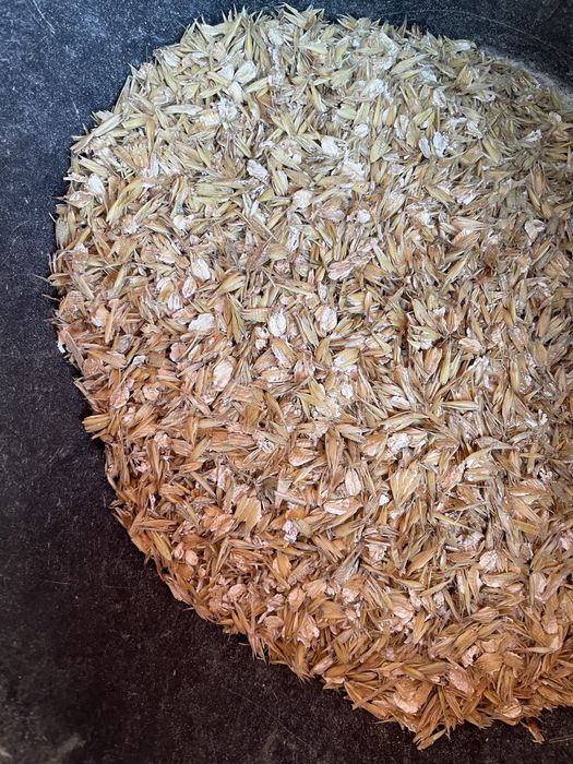 Gniotownik, zgniatacz ziarna, srutownik walcowy