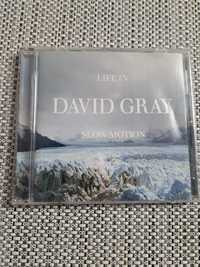 Cd  rock pop David Gray