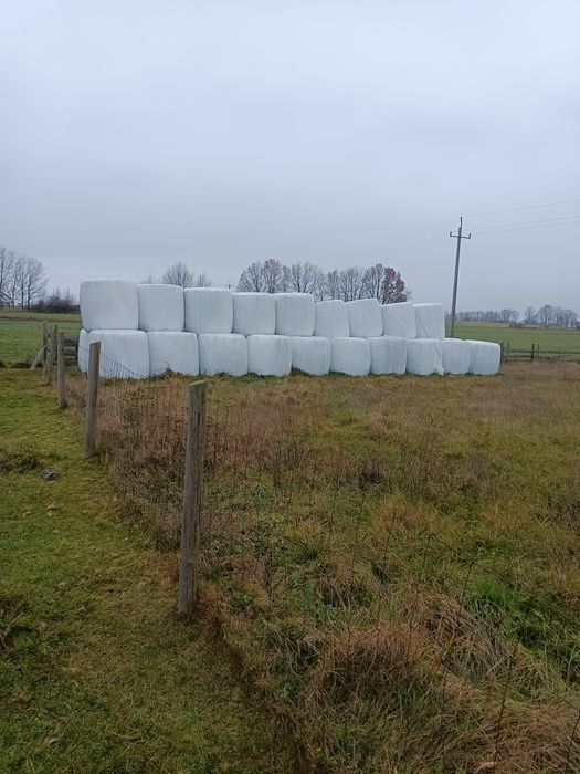 Sprzedam siano kiszonkę