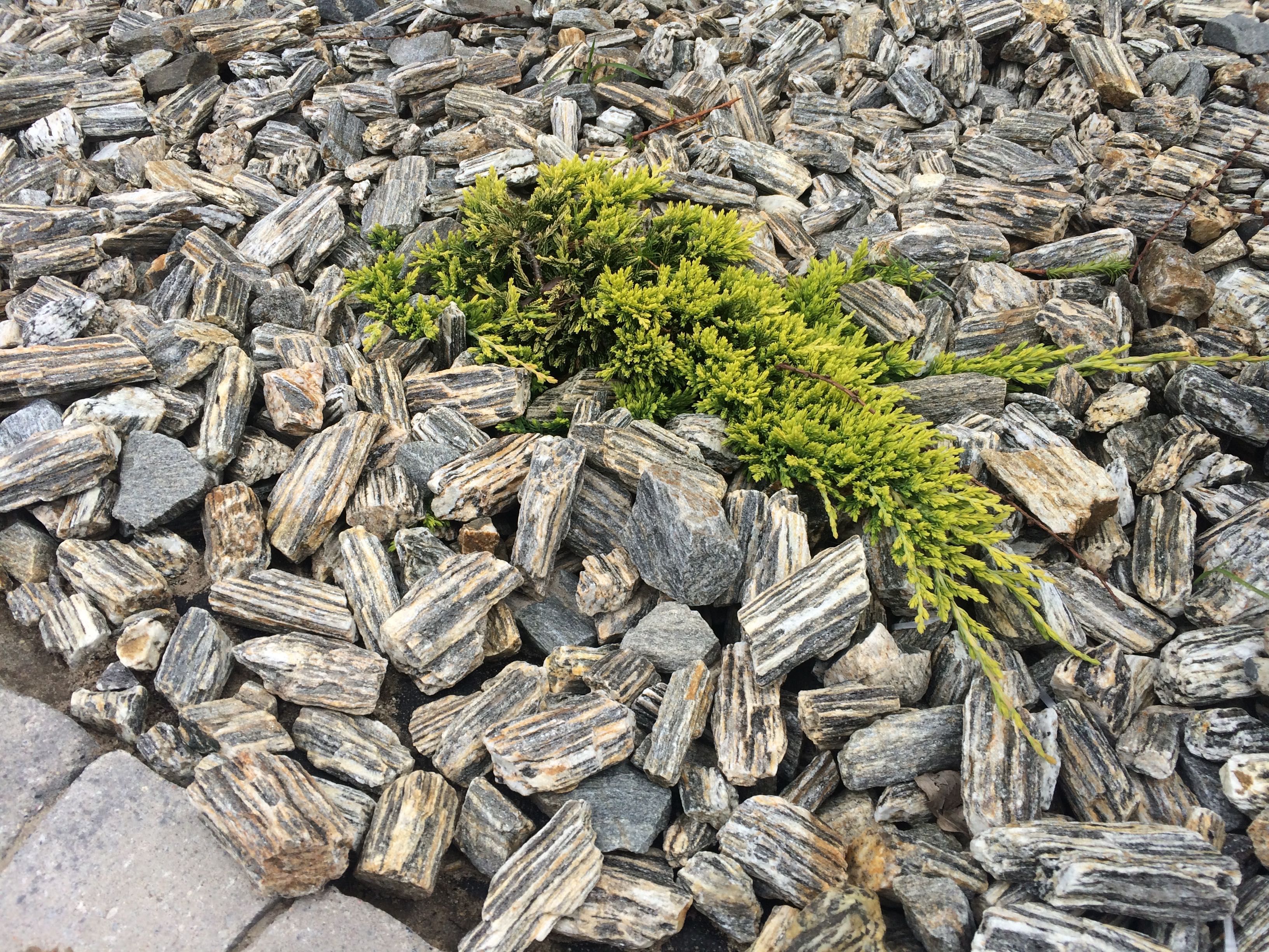 Kamień ogrodowy łupek drzewiasty kora kamienna gnejsowa op. 25kg