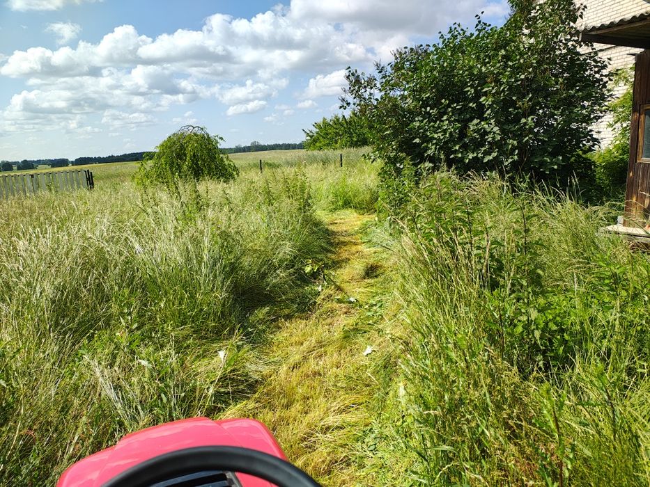Koszenie trawy, przycinanie krzewów utrzymanie zieleni, sprzątanie
