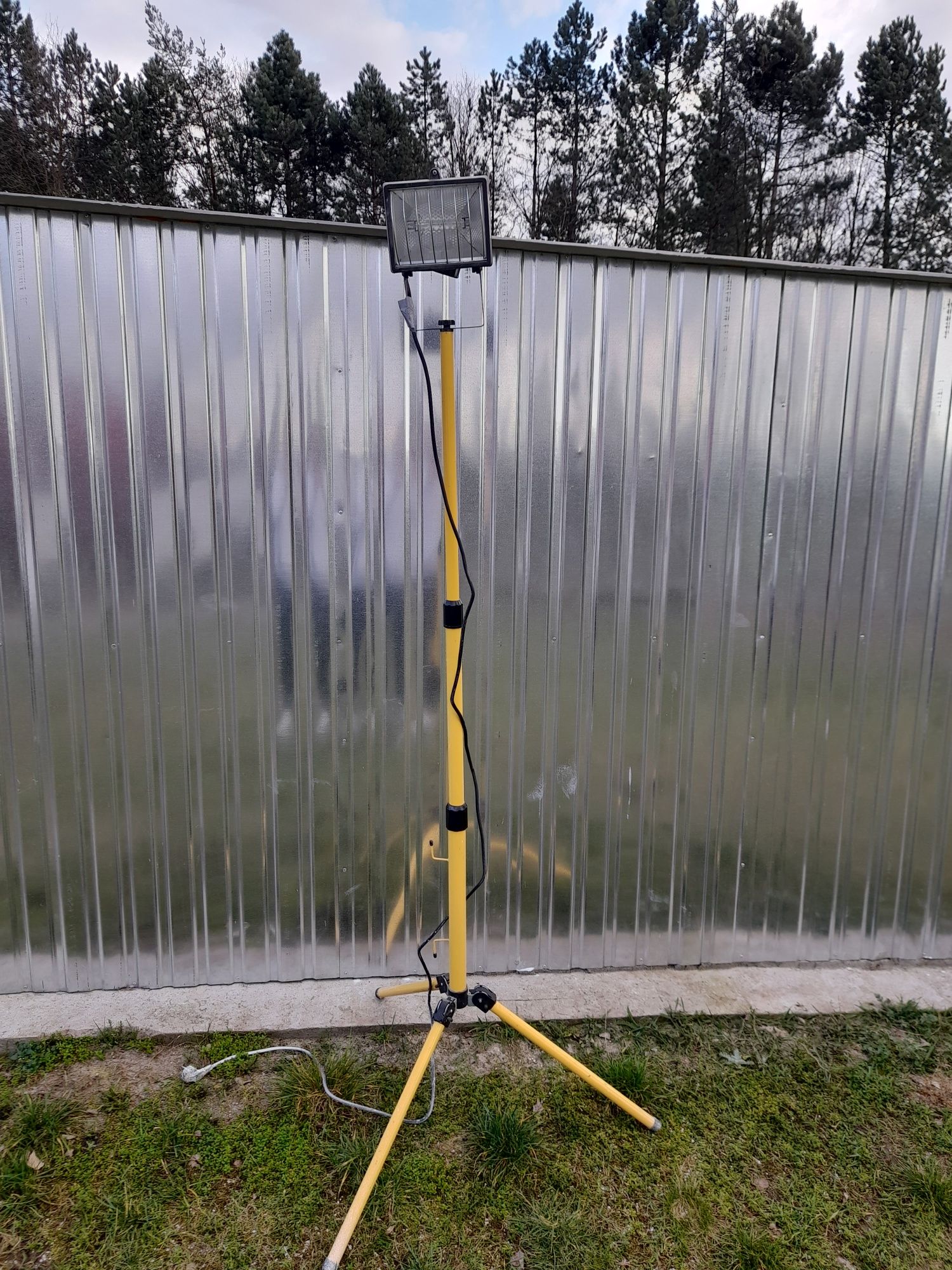 Halogen na statywie