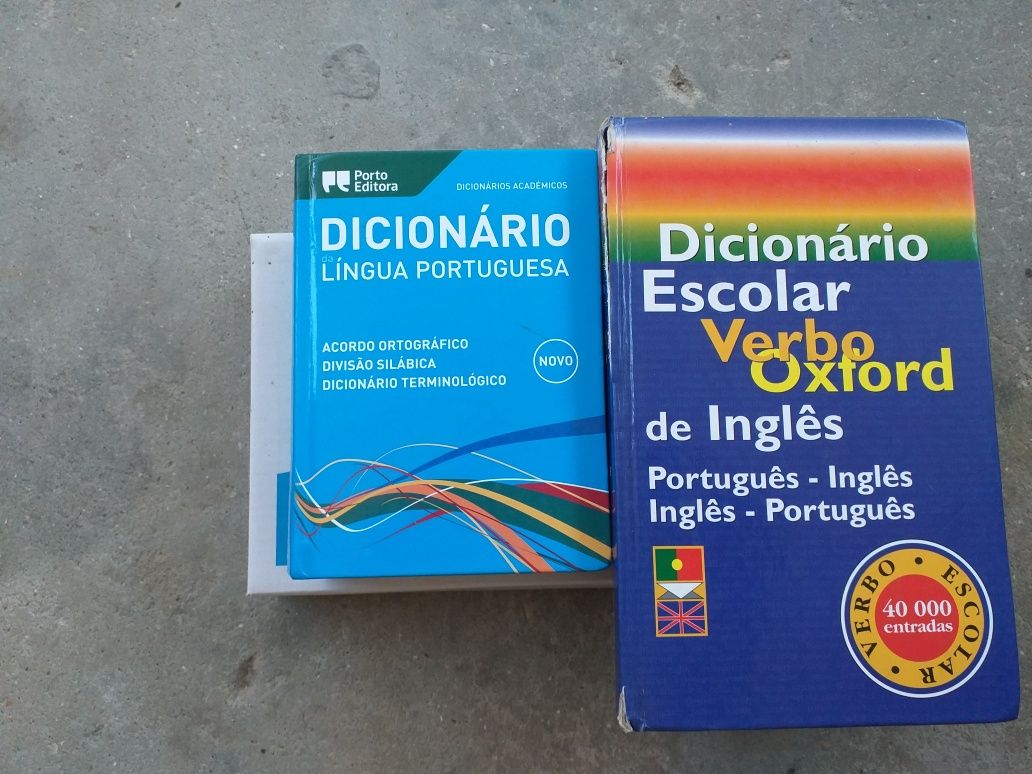 2 dicionários em muito bom estado