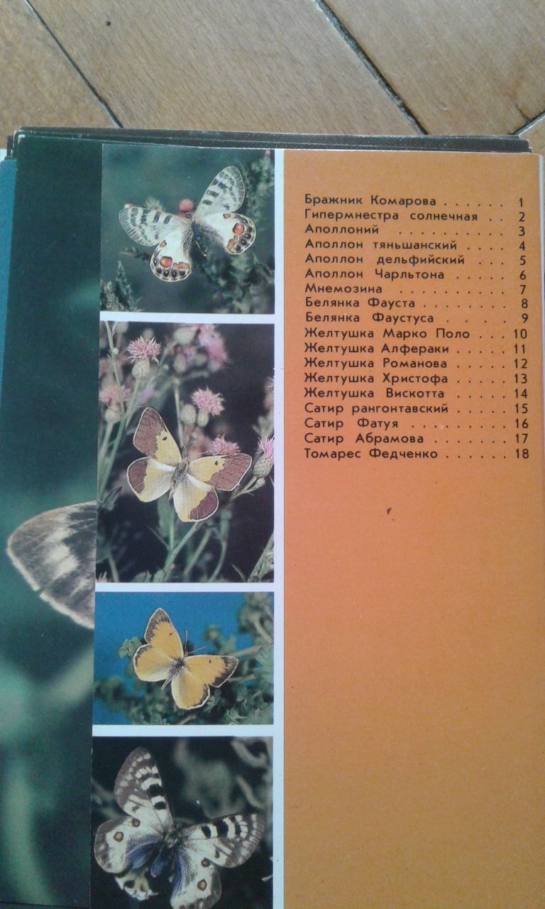 Набор открыток бабочки