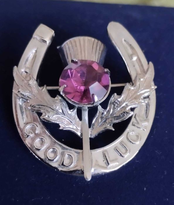 Вінтажні броши гербові, чортополох