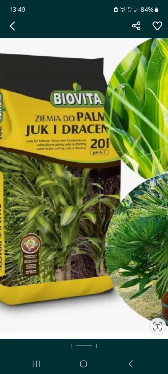 Ziemia podłoże do palm juk i dracen 20 litrów