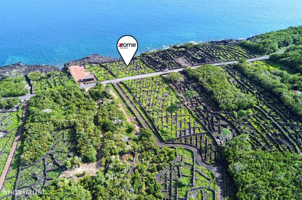 Terreno de vinhas com 1.467 m2, em São Caetano na Ilha do Pico