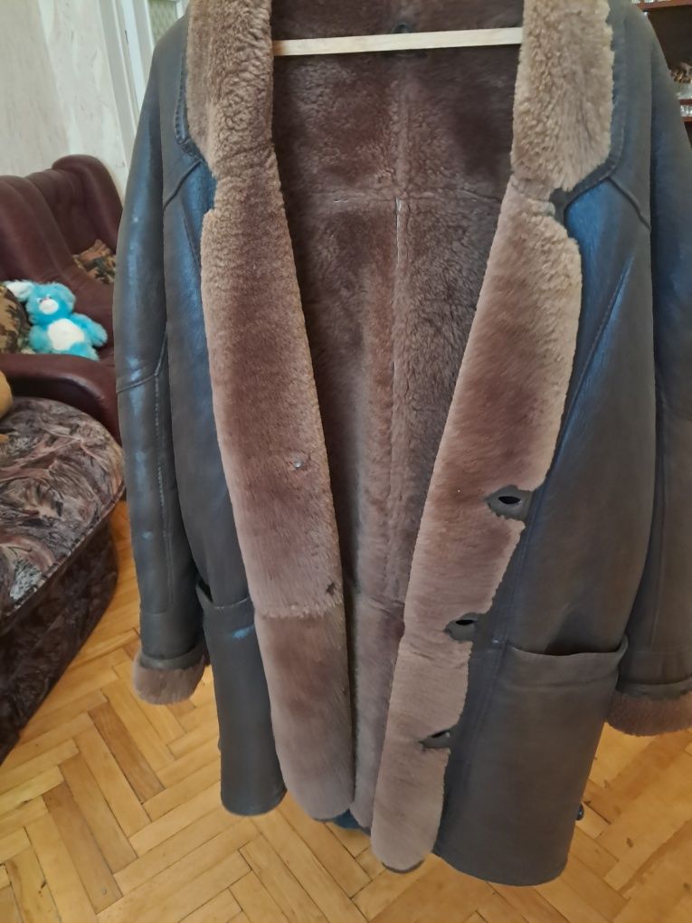 Дублянка чоловіча