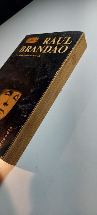Raul Brandão - João Pedro de Andrade