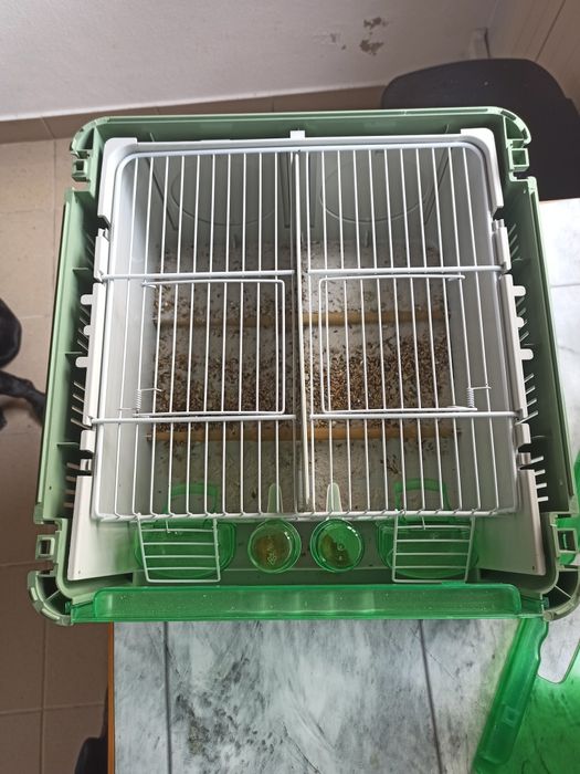 Transportadora de aves