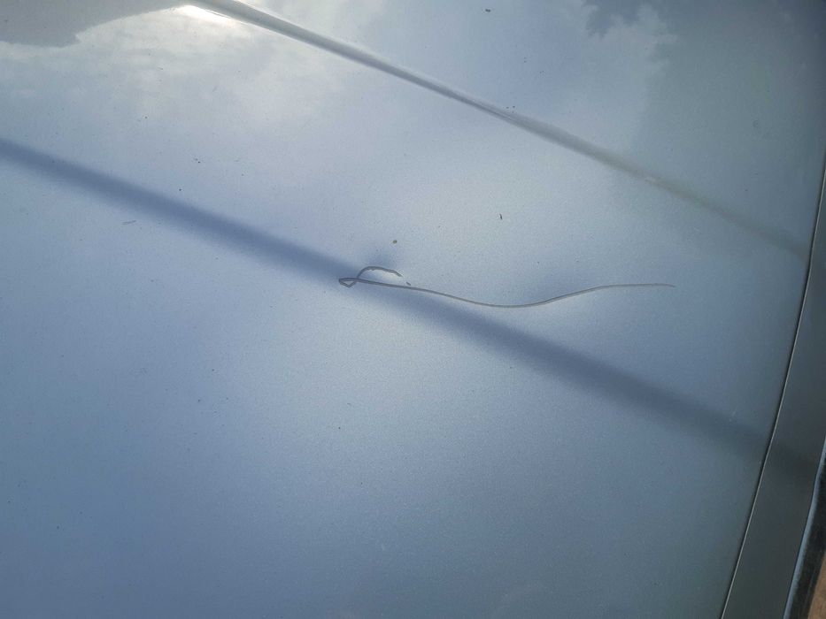 Skoda Octavia I - 1.6 benzyna 2009r