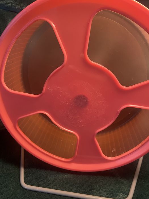 Kolowrotek dla gryzoni