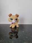 Lps pop unikat collie #2452