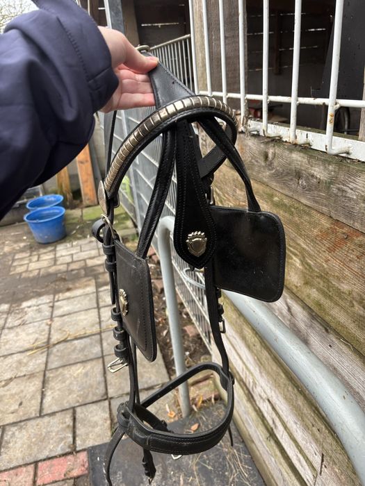 Oglowie zaprzęgowe cob