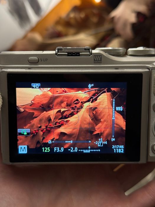 Бездзеркальний фотоапарат Olympus PEN E-PL9 / Діджитал-камера