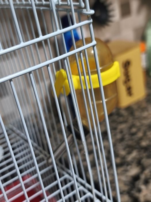 Gaiola Hamsters completa novinha