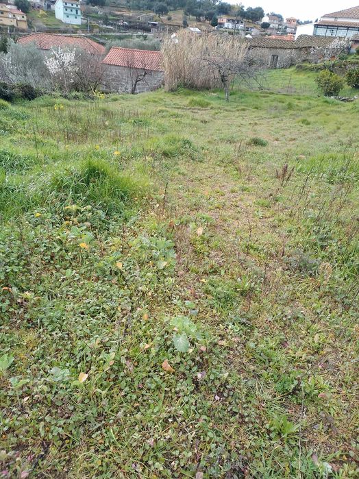 Casas, quintais, Arrumos, terrenos no Castedo